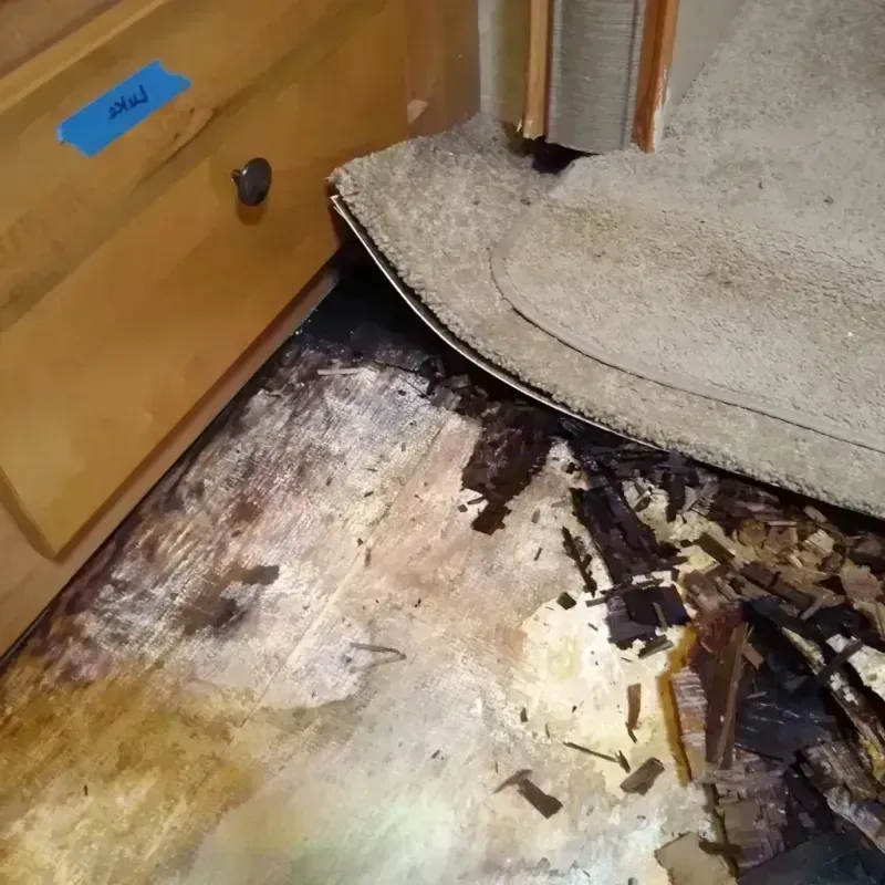 Wood Floor Water Damage in Iron County, MI